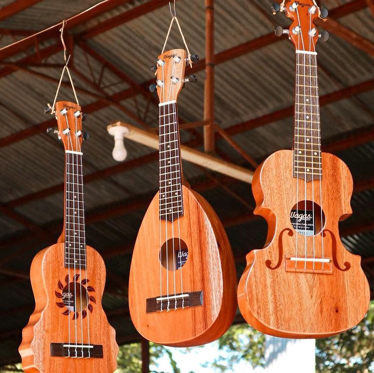 7 Tips & Checklist Before Buying Your 1st Ukulele Wagas Ukes