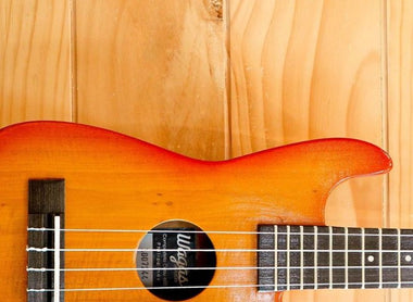The Ultimate Beginner’s Guide: Ukulele Parts 101